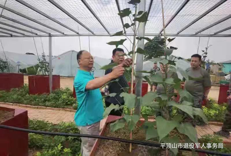 微信图片_20210702150556.jpg